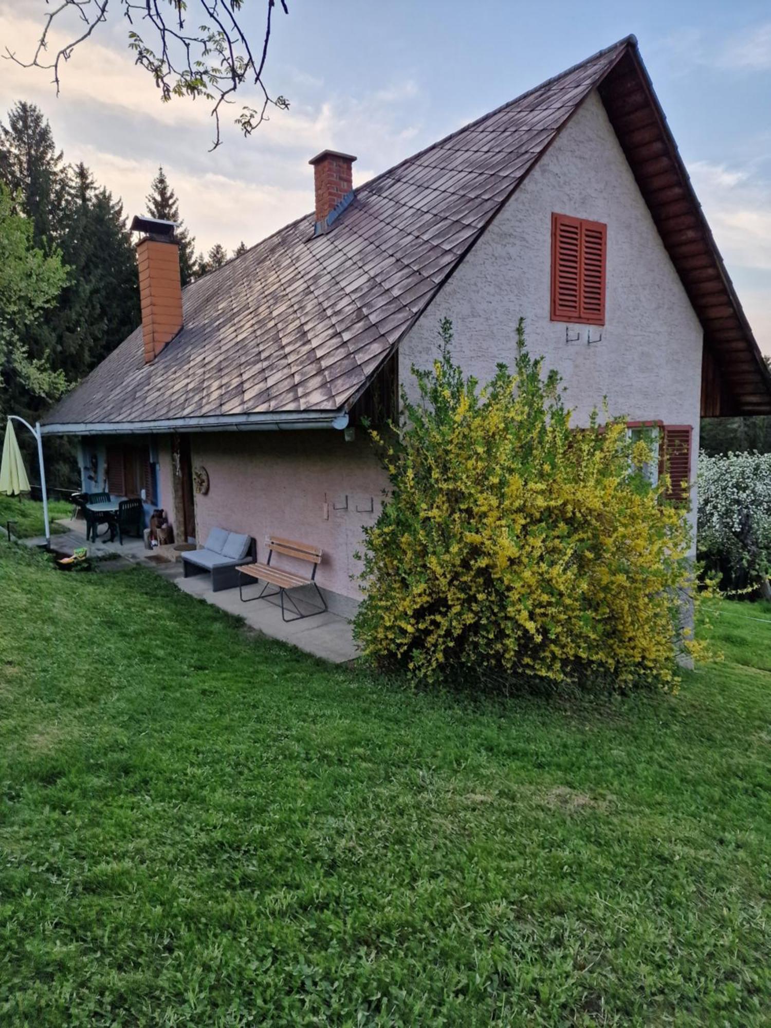 Natur- & Erlebnis Ferienhaus Voitsberg Exteriör bild