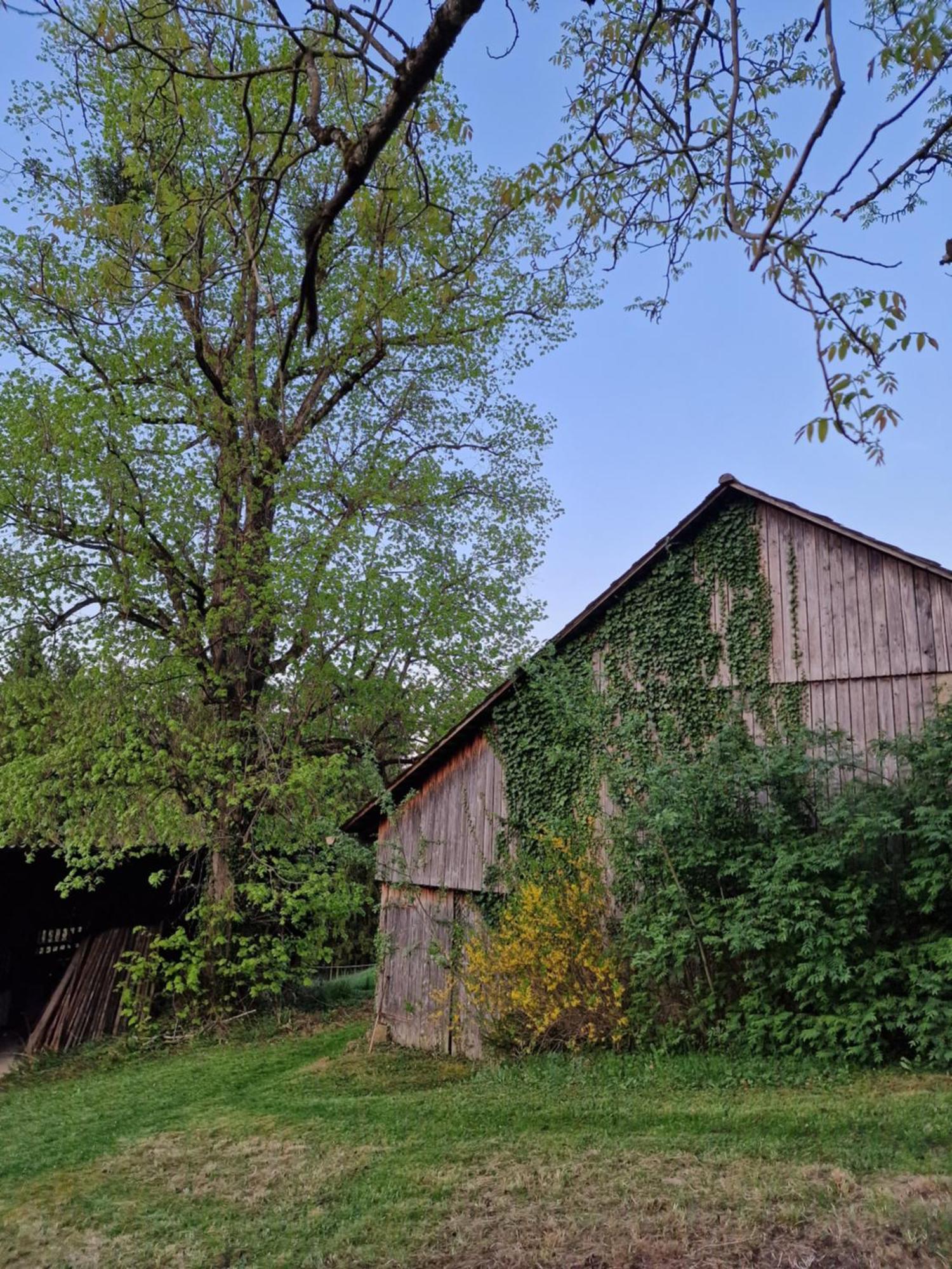 Natur- & Erlebnis Ferienhaus Voitsberg Exteriör bild